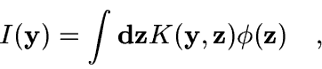 \begin{displaymath}
I({\bf y}) = \int {\bf dz} K({\bf y},{\bf z}) \phi({\bf z}) \quad,
\end{displaymath}